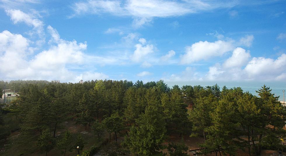 Jumunjin Resort Gangneung Exterior foto