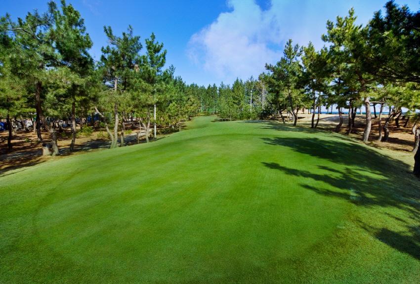 Jumunjin Resort Gangneung Exterior foto